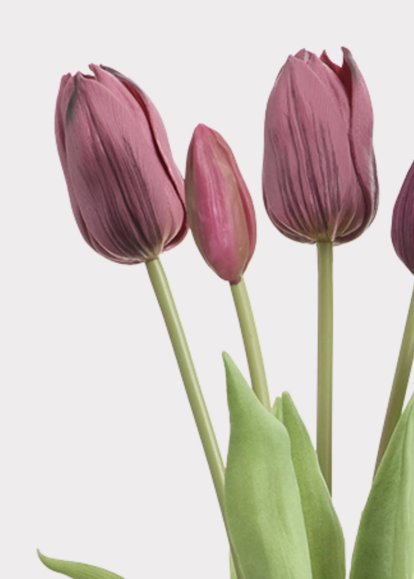 Plum Purple Real Touch Dutch Tulip Bouquet — 12"
