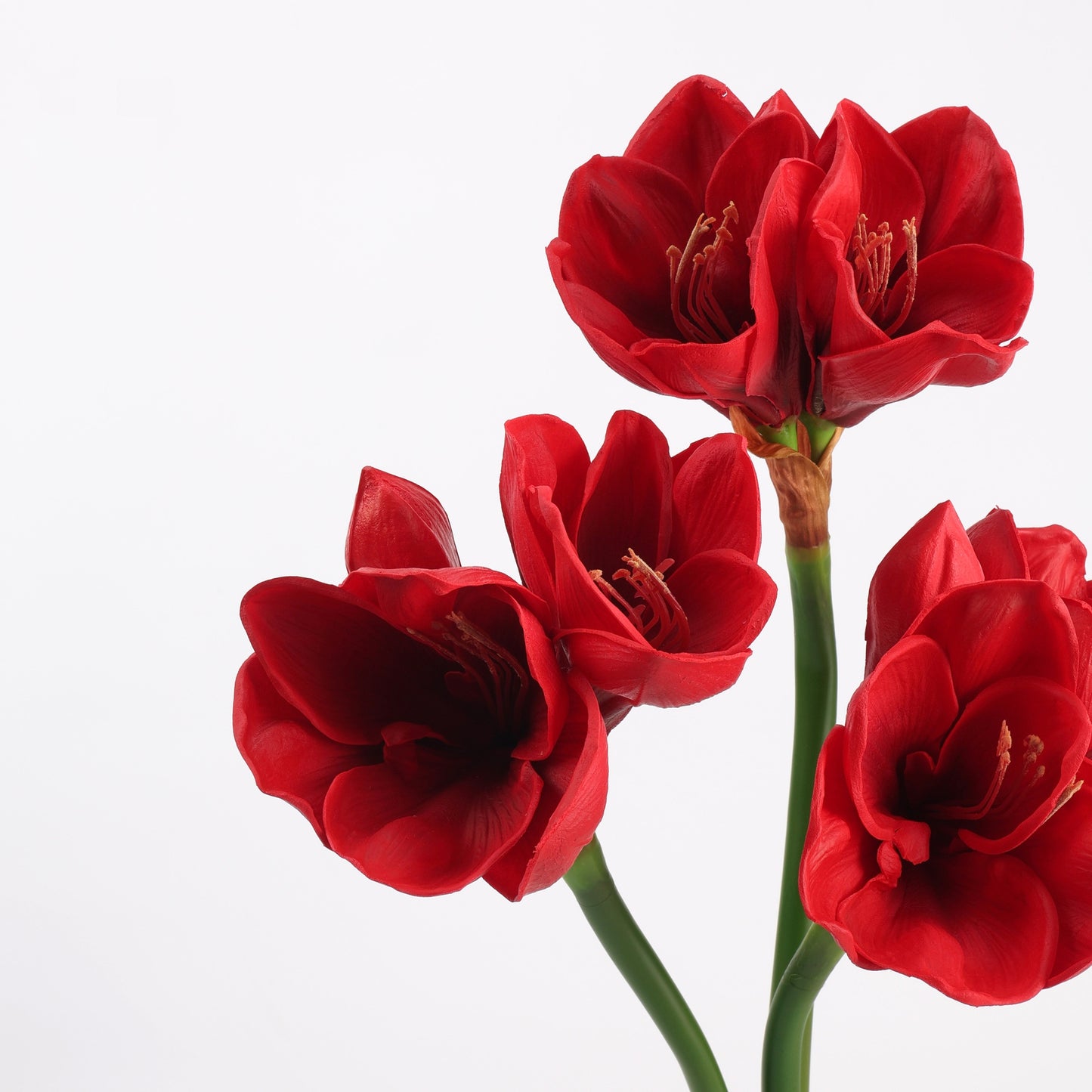 Real Touch Deep Red Amaryllis Stem — 2 Blooms, 23"