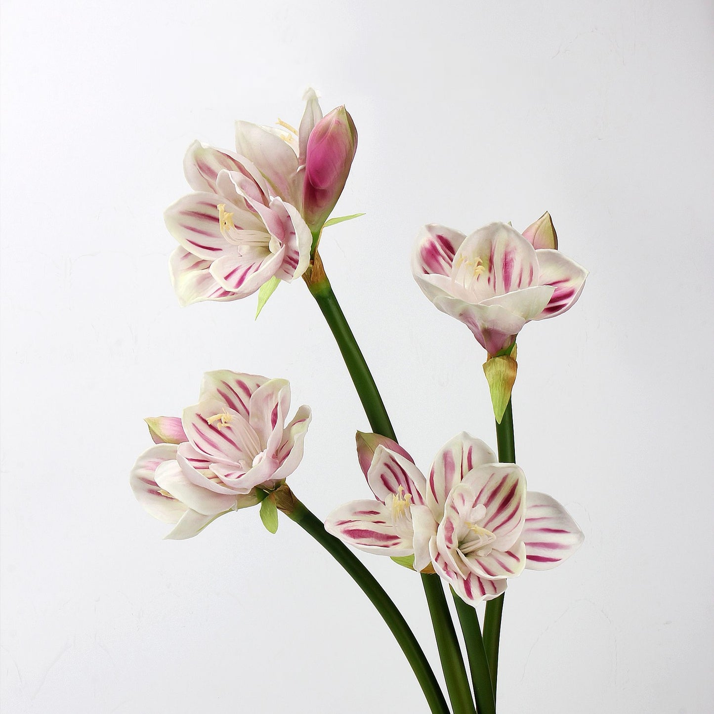 Real Touch Striped Pink Amaryllis Stem — 2 Blooms, 23"