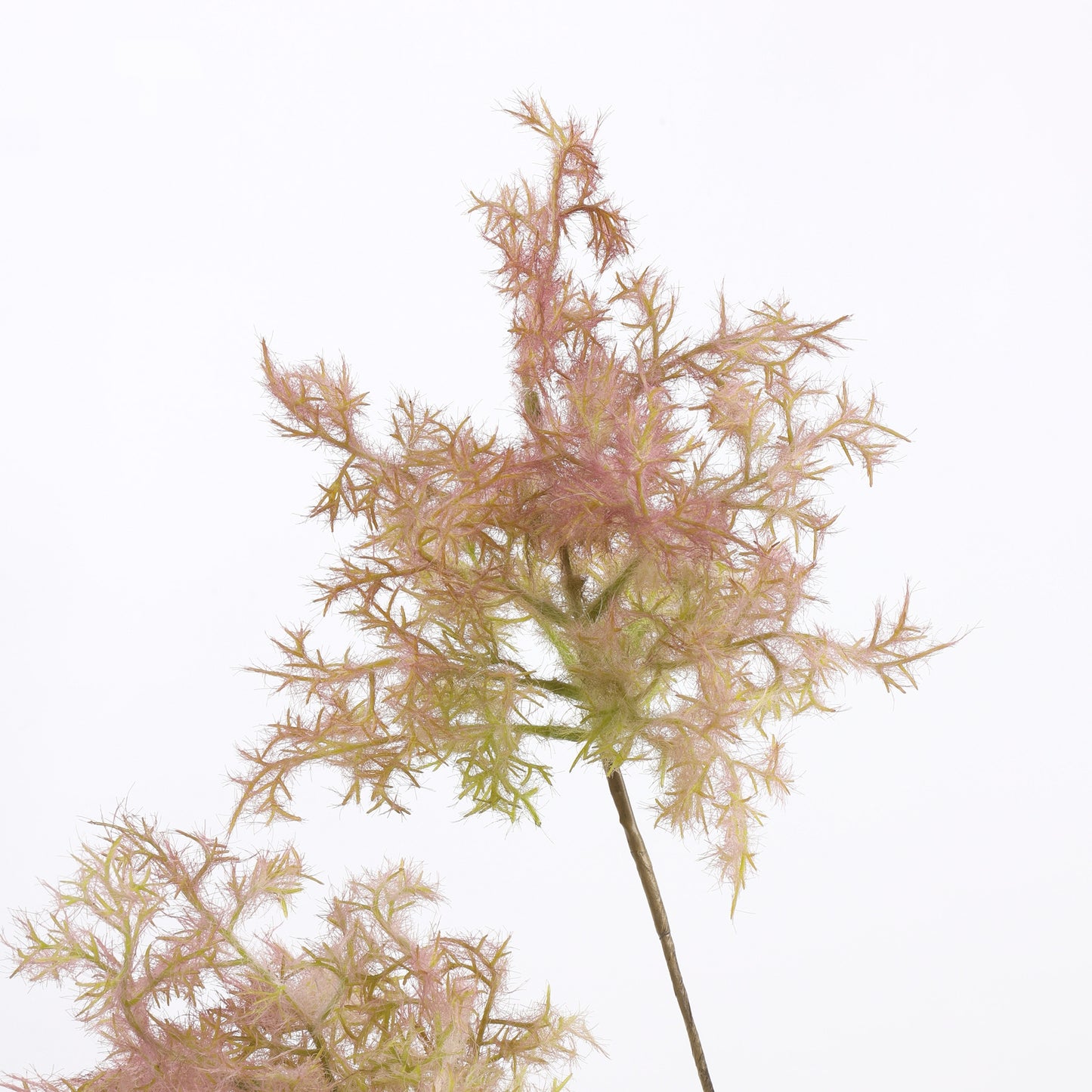 Faux Morandi Pink Smoke Bush Stem — 27"