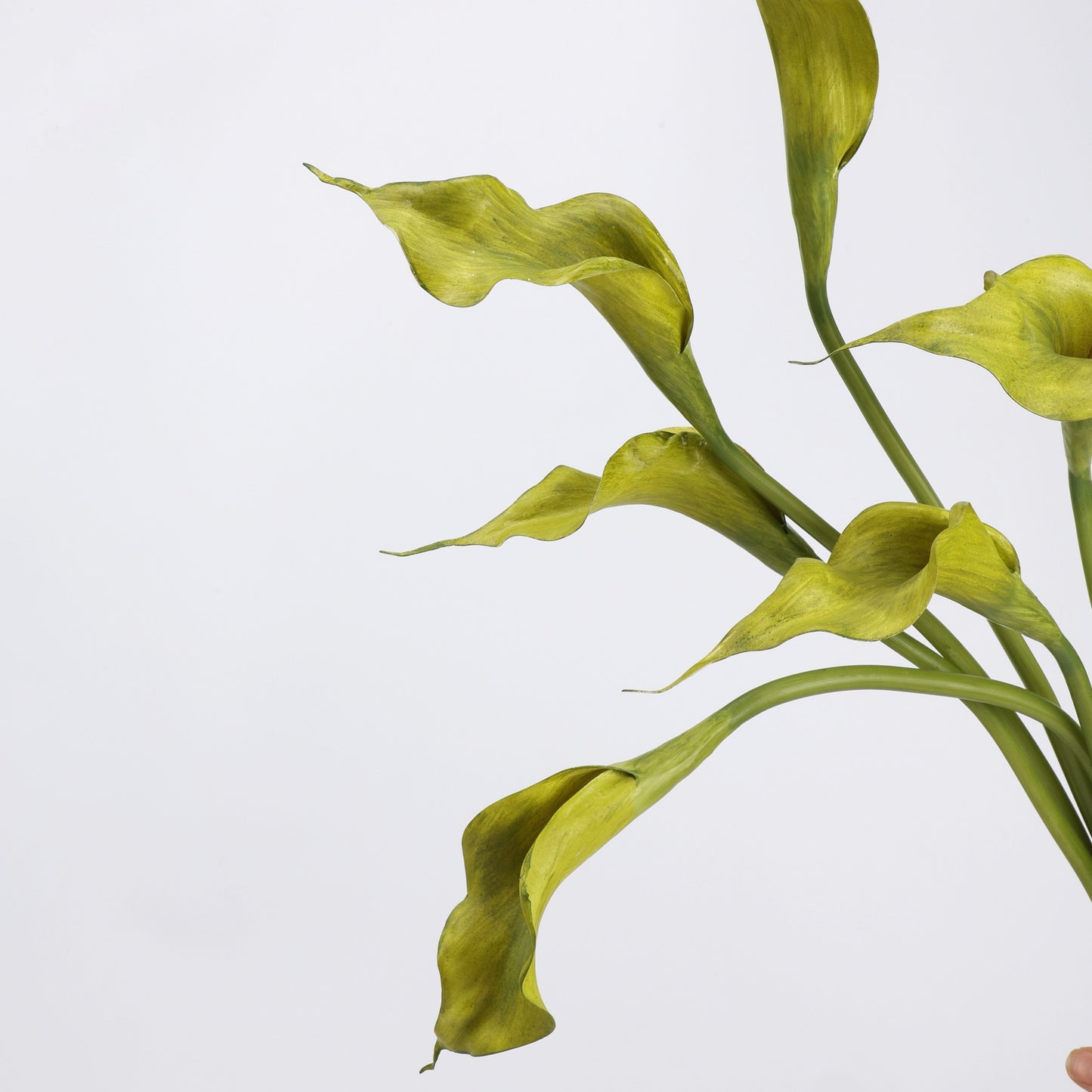 Real Touch Morandi Chartreuse Calla Lily Stem — 1 Bloom, 21"