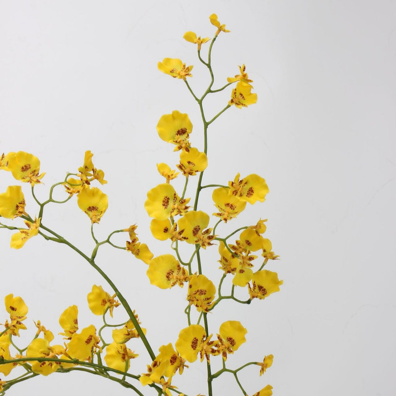 Real Touch Yellow Dancing Orchid Stem — 2 Branches