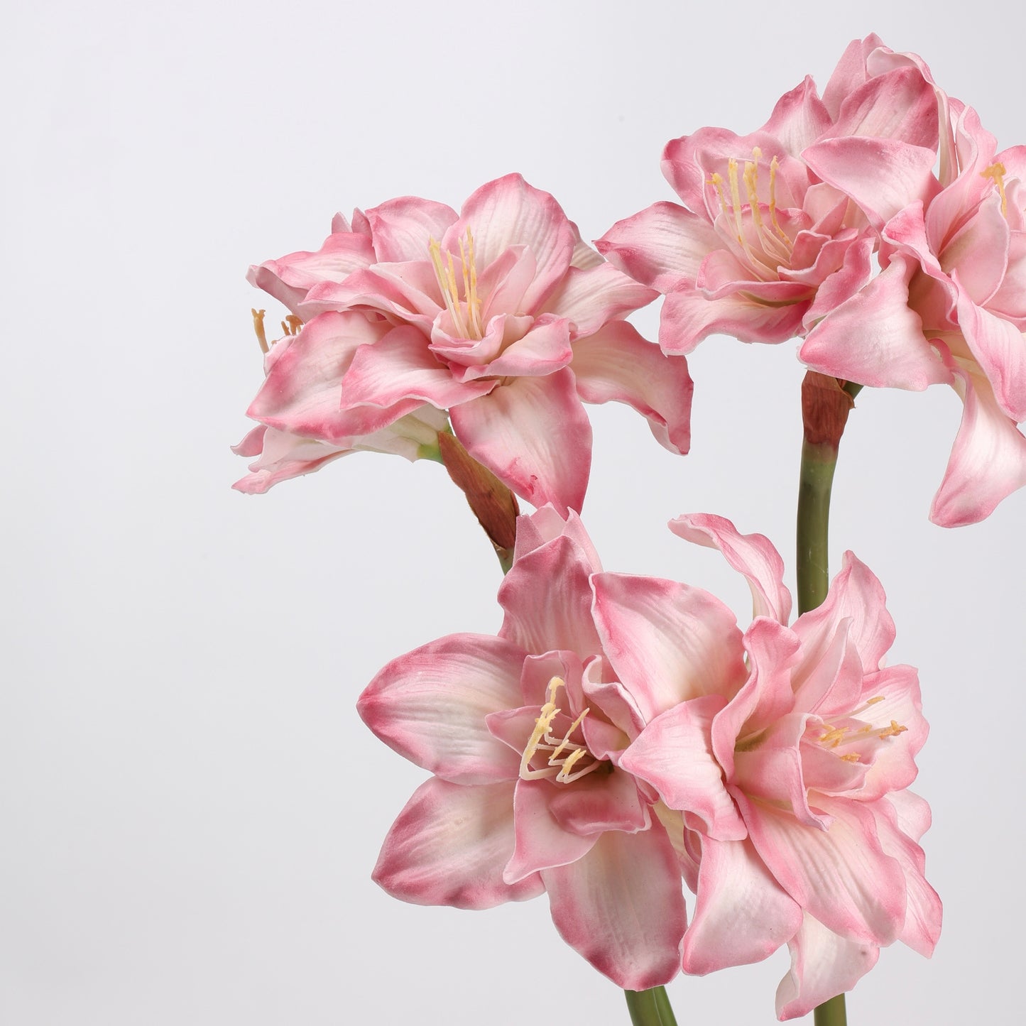 Real Touch Pink Amaryllis Stem 23"