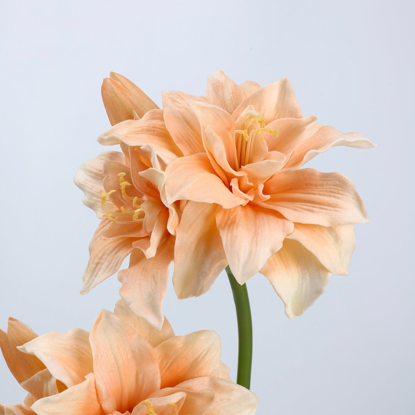 Real Touch Peach Amaryllis Stem 23"