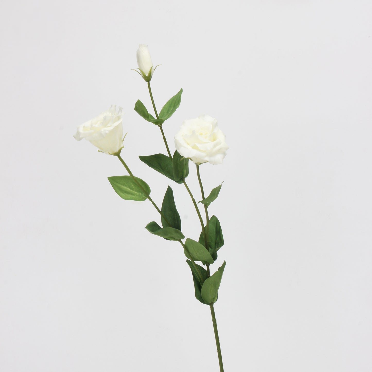 White Real Touch Artificial Flower Stems – PU Faux Flowers | Panthère Rose