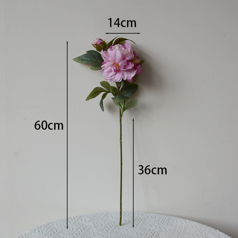 Mixed Colour Peony Bouquet — 5 Stems