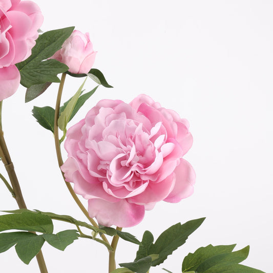 Grand Opening — 15% Off Sitewide + Free Shipping on NZ Orders Over $150