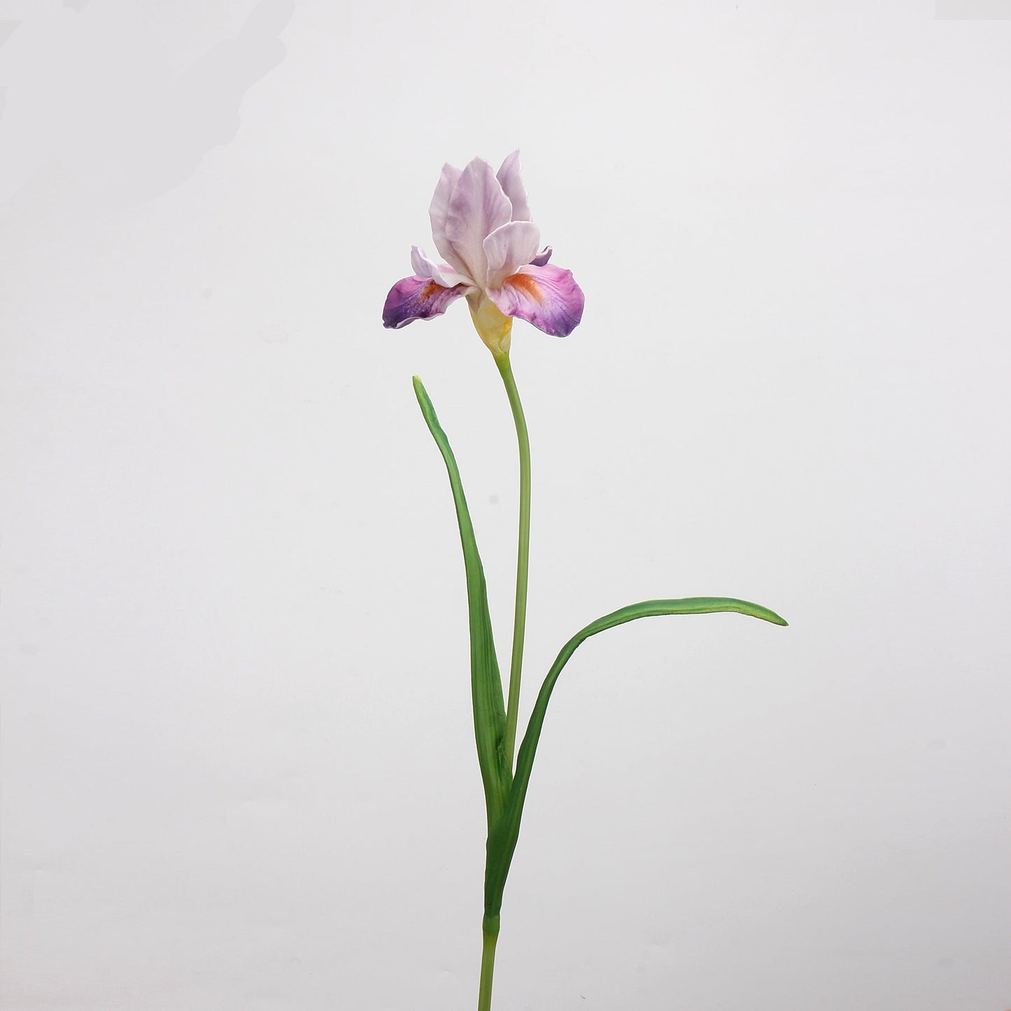 Real Touch Iris Stem in Lavender Pink 21"