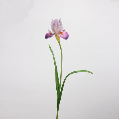 Real Touch Iris Stem in Lavender Pink 21"