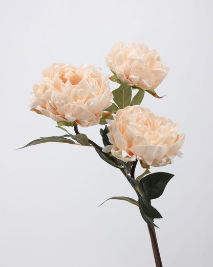 Real Touch Peony Stem in Cream White — 20"