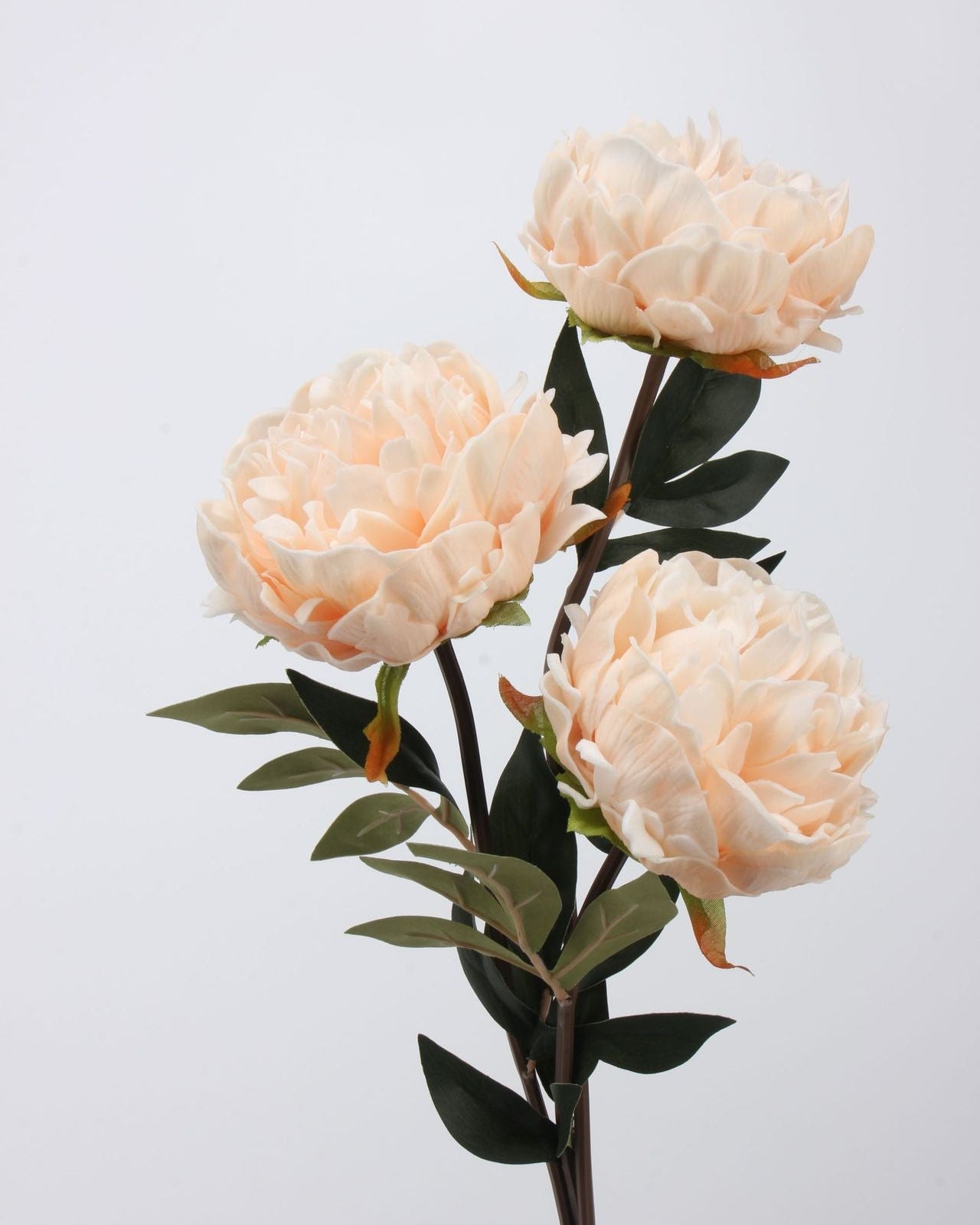 Real Touch Peony Stem in Cream White — 20"