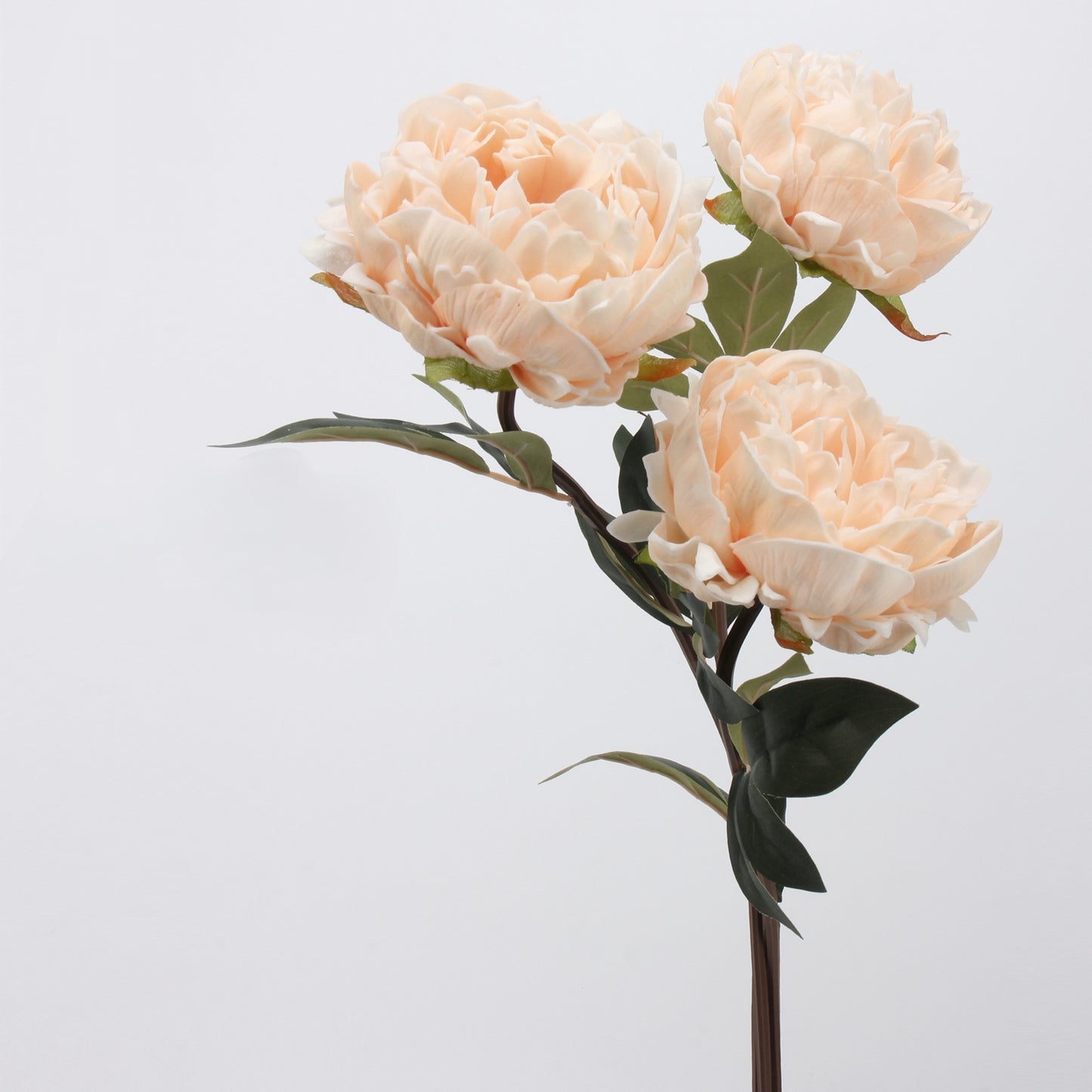 Real Touch Peony Stem in Cream White — 20"
