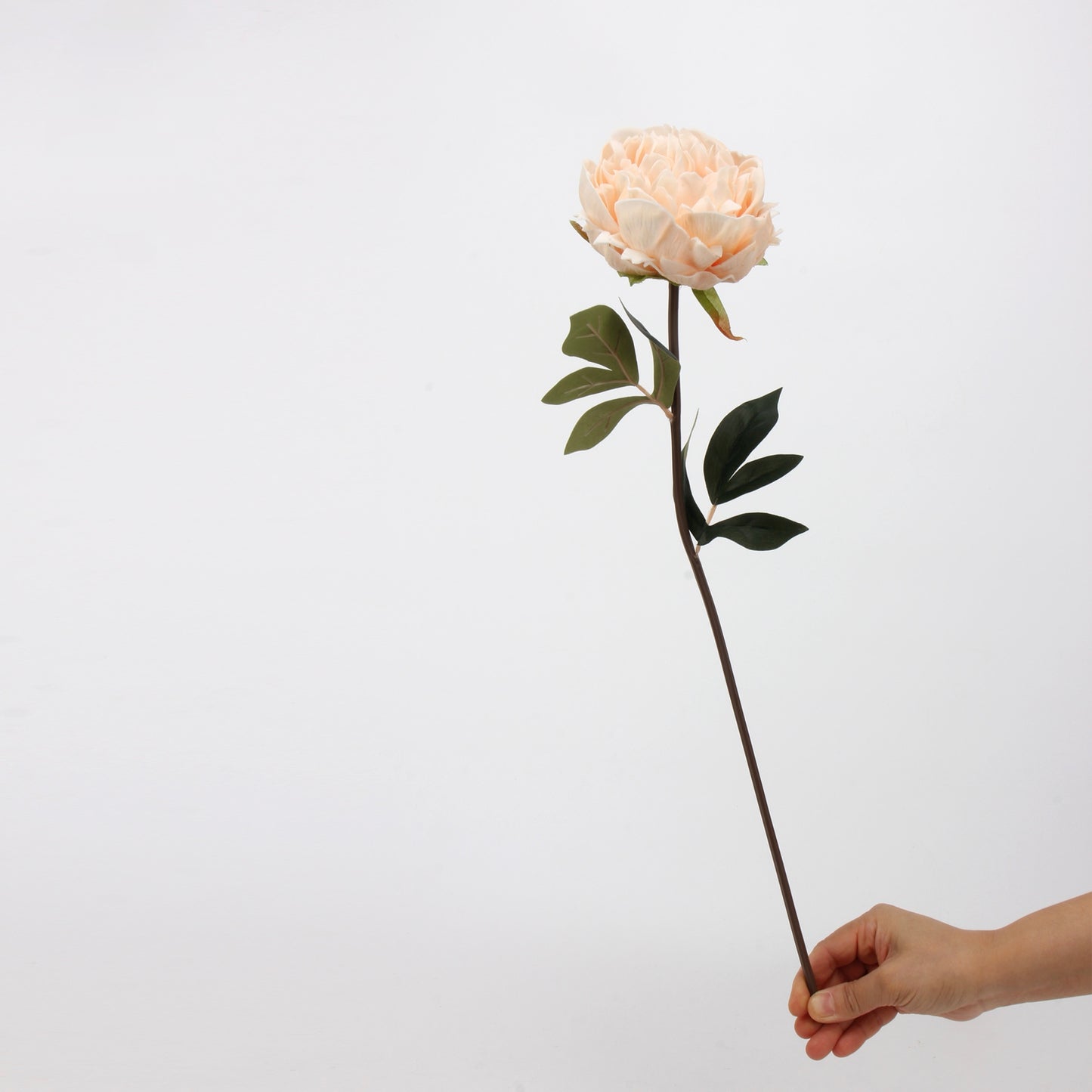 Real Touch Peony Stem in Cream White — 20"