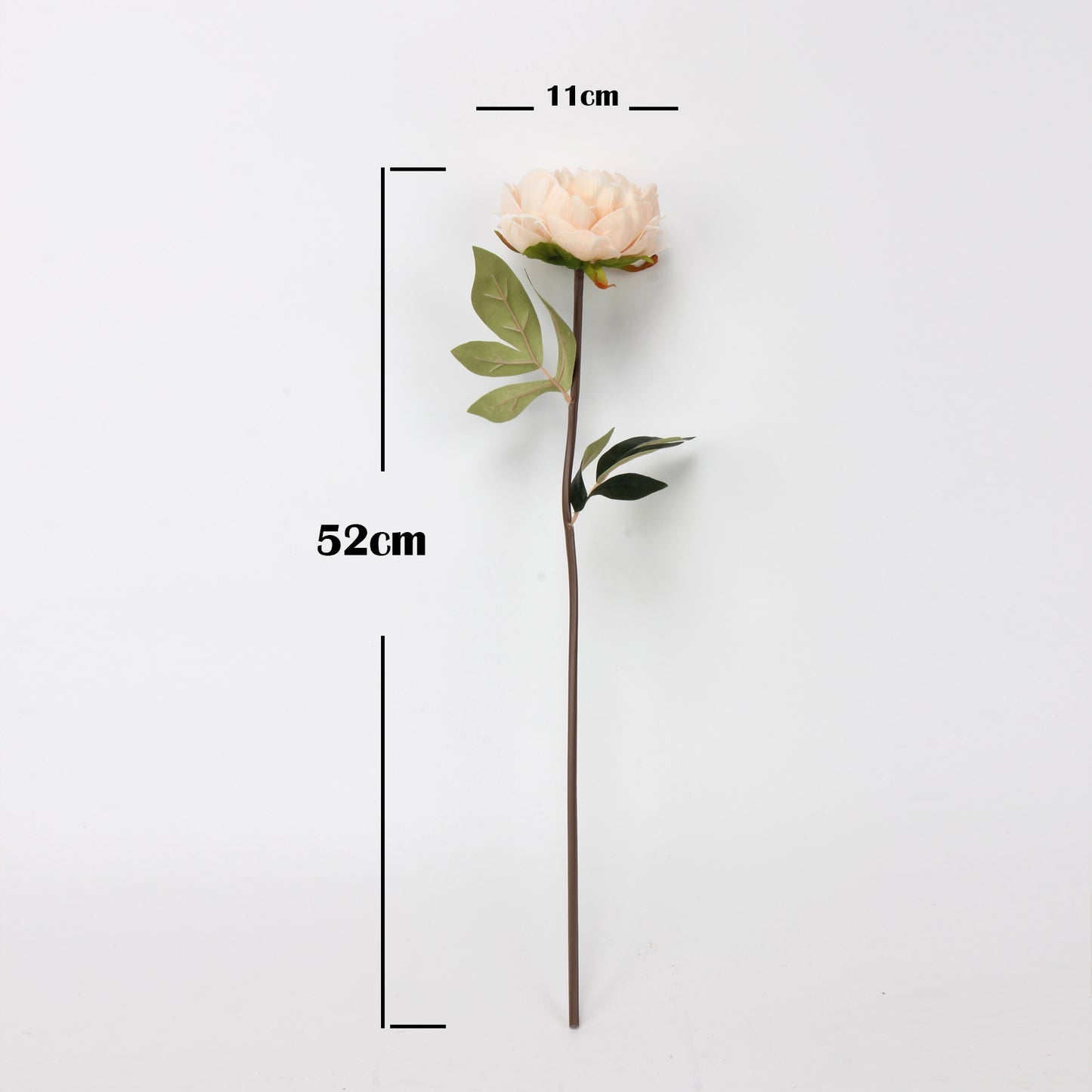 Real Touch Peony Stem in Cream White — 20"