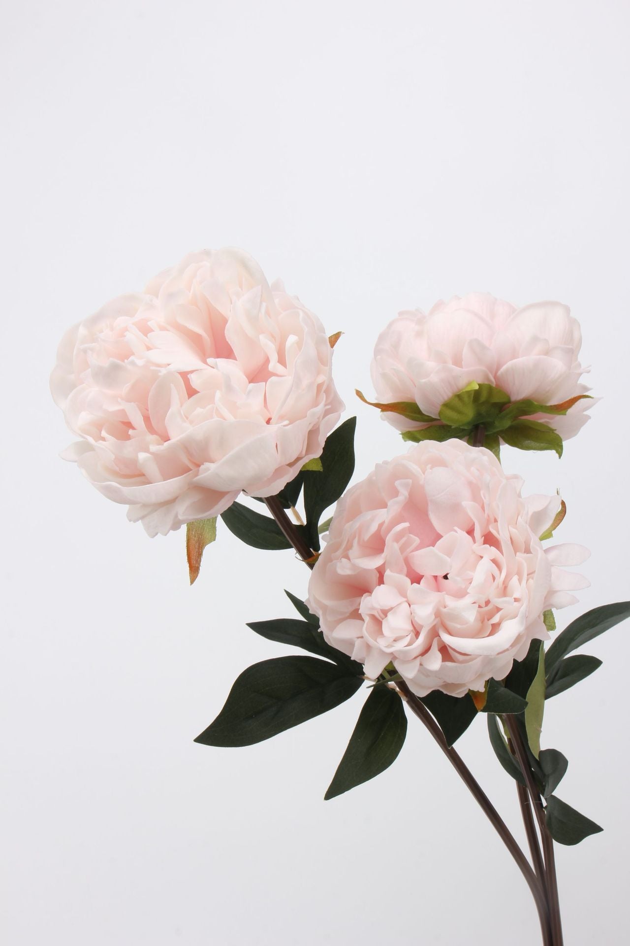 Real Touch Peony Stem in Blush Pink — 22"
