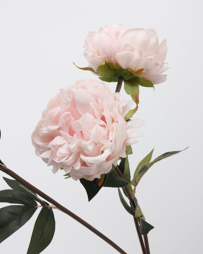 Real Touch Peony Stem in Blush Pink — 22"