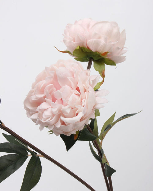 Real Touch Peony Stem in Blush Pink — 22"