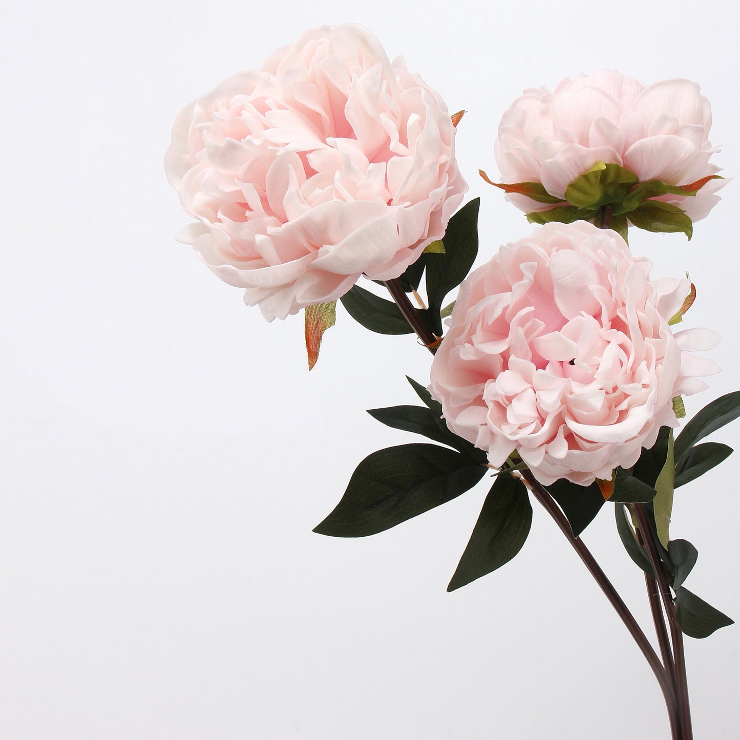 Real Touch Peony Stem in Blush Pink — 22"