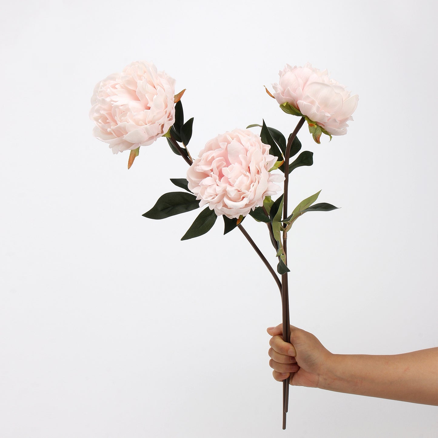 Real Touch Peony Stem in Blush Pink — 22"