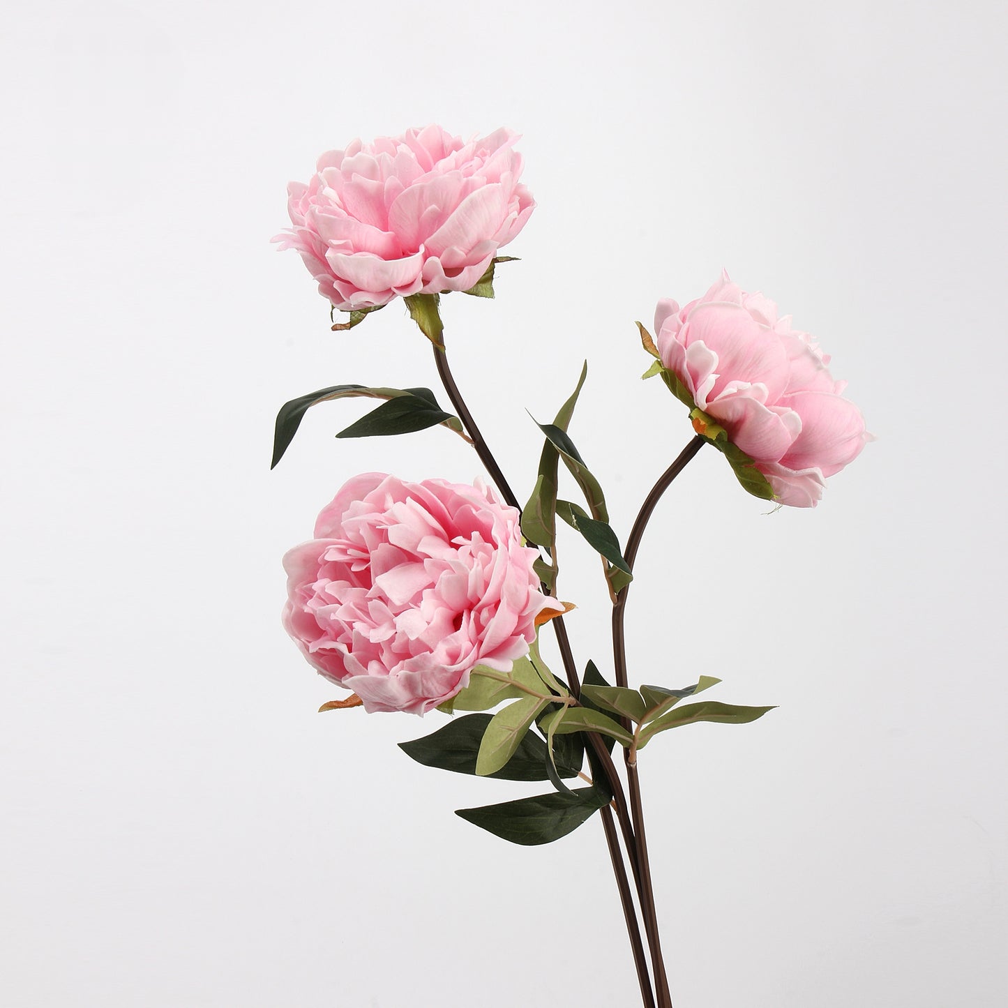 Real Touch Peony Stem in Blush Pink — 22"