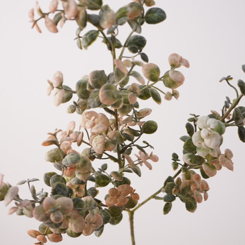 Faux Morandi Eucalyptus Branch Stem — 26"