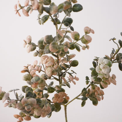 Faux Morandi Eucalyptus Branch Stem — 26"