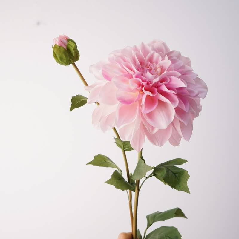 Real Touch Blush Pink Dahlia Stem — 2 Blooms, 22"