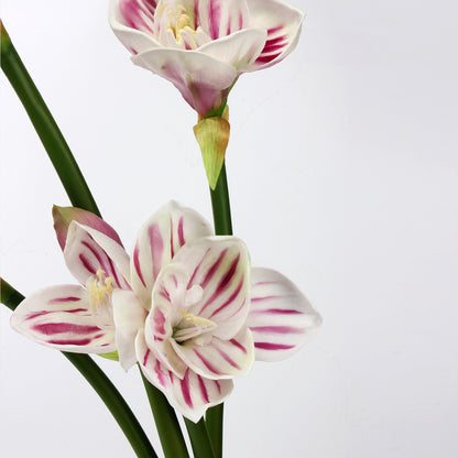 Real Touch Striped Pink Amaryllis Stem — 2 Blooms, 23"
