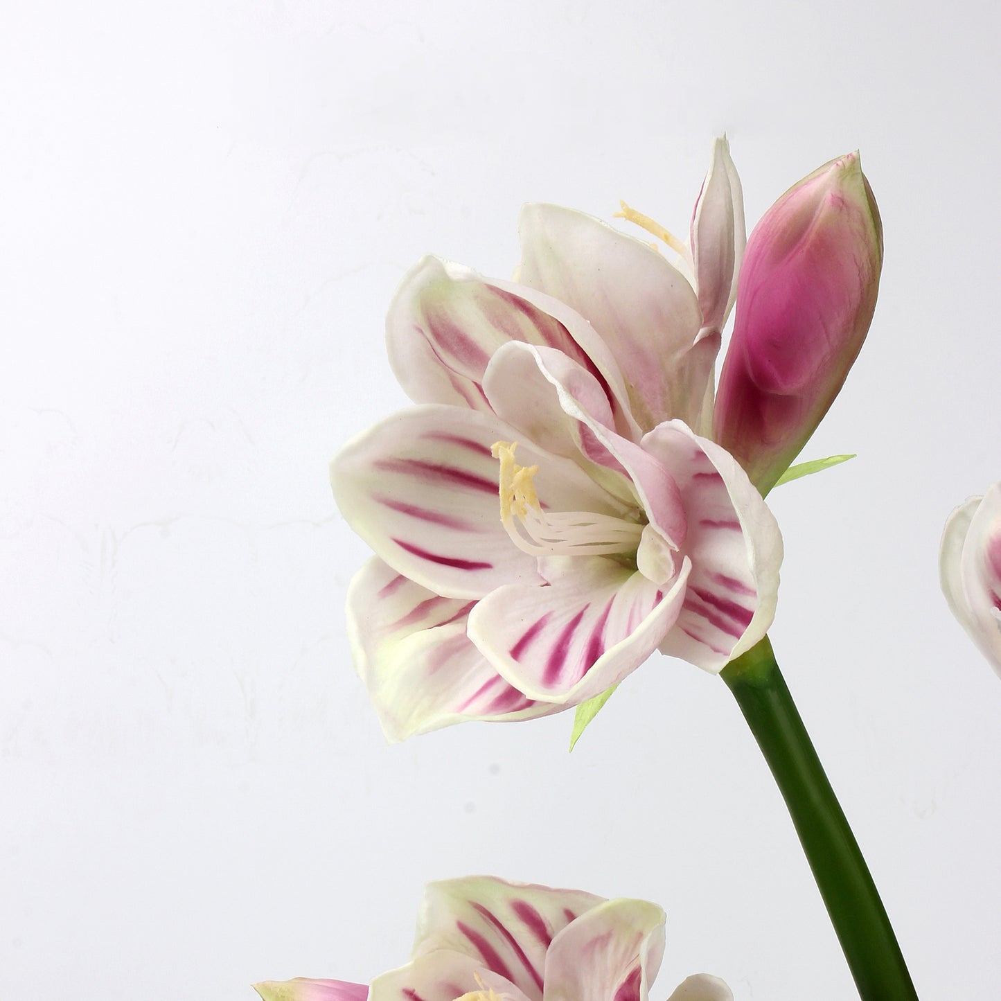Real Touch Striped Pink Amaryllis Stem — 2 Blooms, 23"