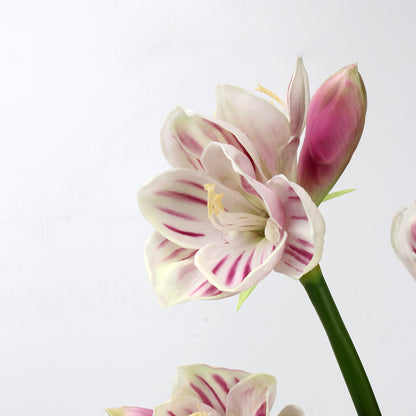 Real Touch Striped Pink Amaryllis Stem — 2 Blooms, 23"