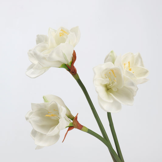 Real Touch Cream White Amaryllis Stem — 2 Blooms, 23"