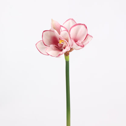 Real Touch Blush Pink Amaryllis Stem — 2 Blooms, 23"