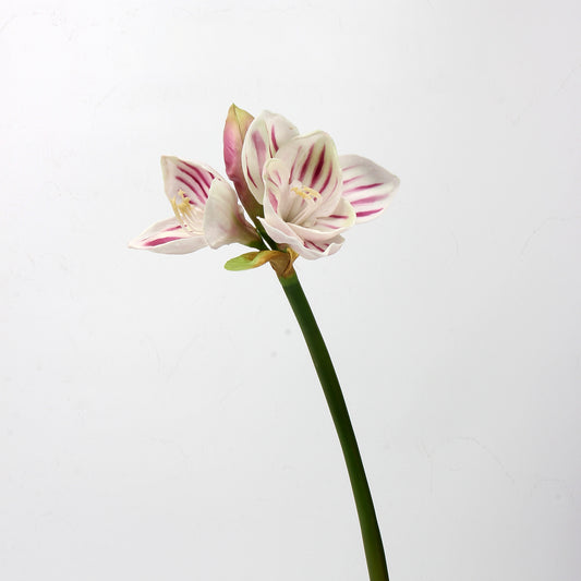 Real Touch Striped Pink Amaryllis Stem — 2 Blooms, 23"