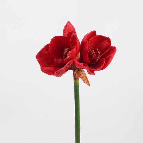 Real Touch Deep Red Amaryllis Stem — 2 Blooms, 23"