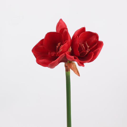 Real Touch Deep Red Amaryllis Stem — 2 Blooms, 23"