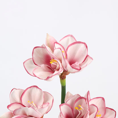 Real Touch Blush Pink Amaryllis Stem — 2 Blooms, 23"