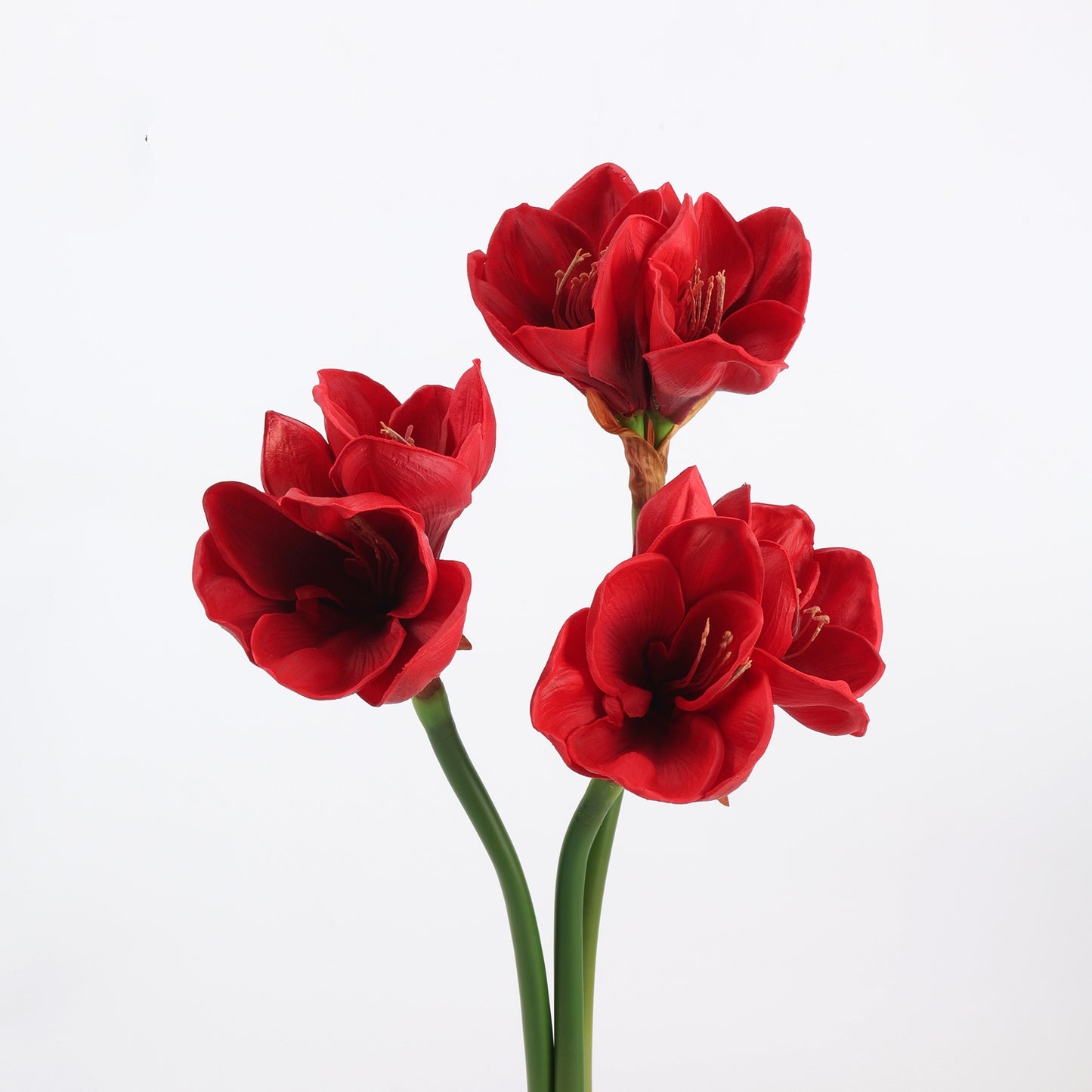 Real Touch Deep Red Amaryllis Stem — 2 Blooms, 23"