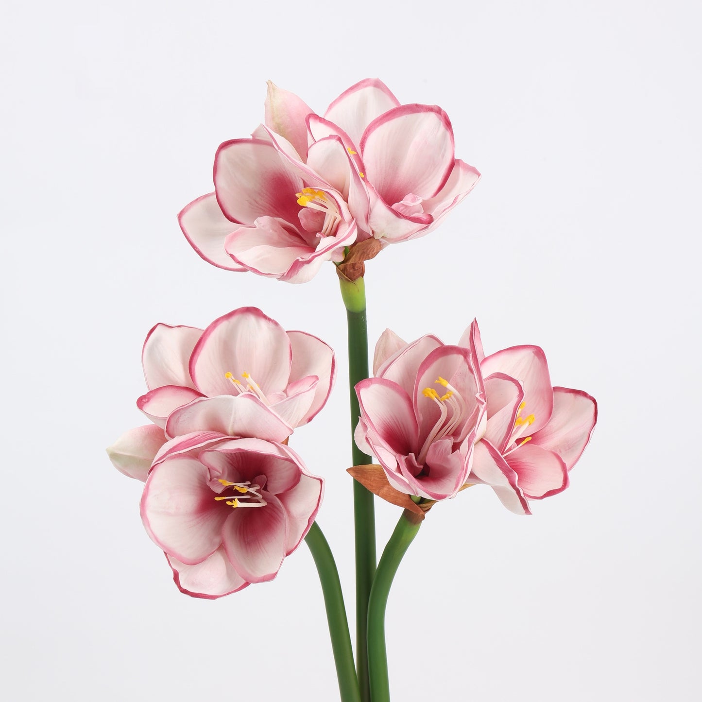 Real Touch Blush Pink Amaryllis Stem — 2 Blooms, 23"