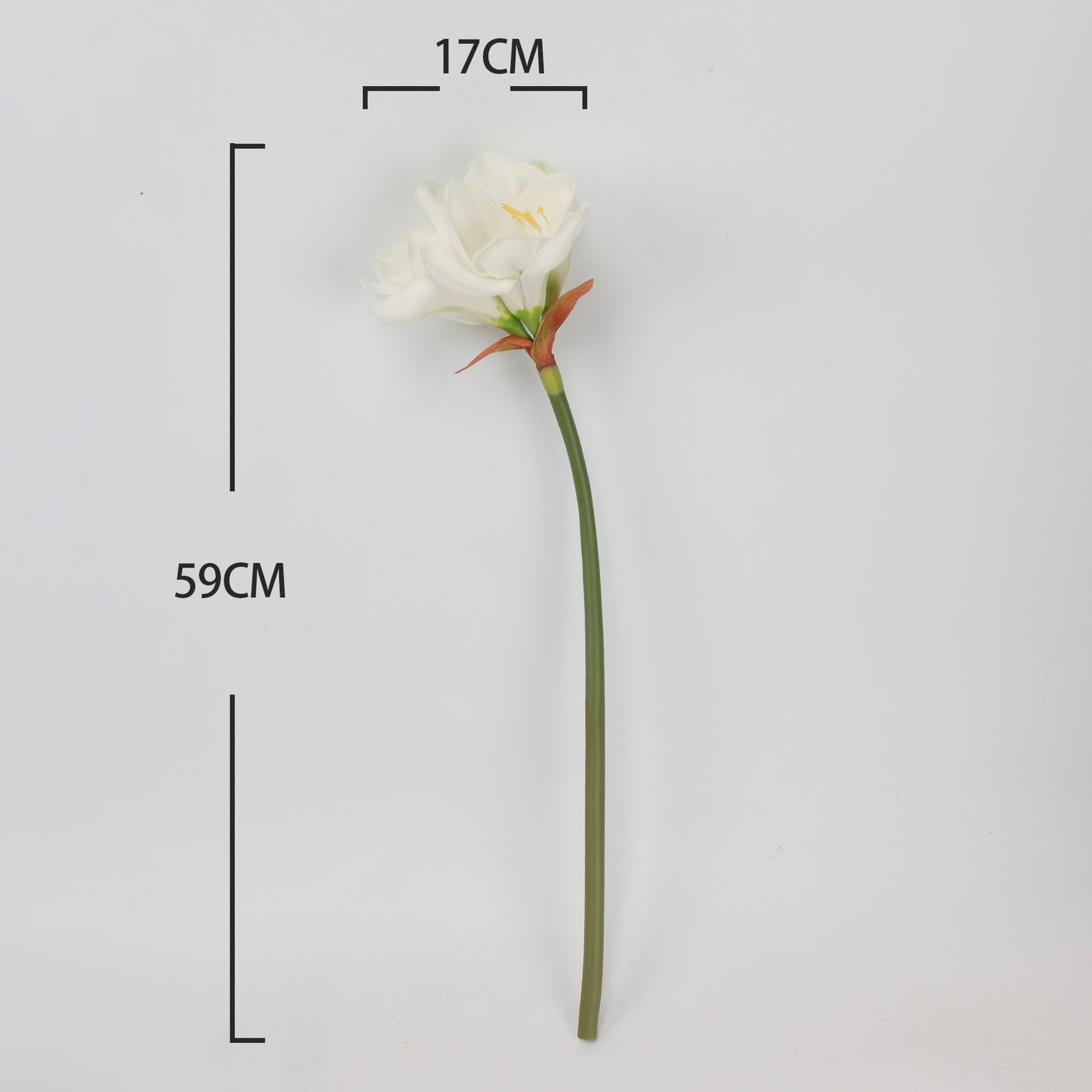 Real Touch Cream White Amaryllis Stem — 2 Blooms, 23"