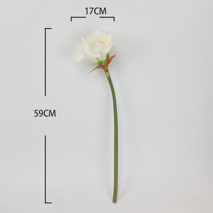 Real Touch Cream White Amaryllis Stem — 2 Blooms, 23"