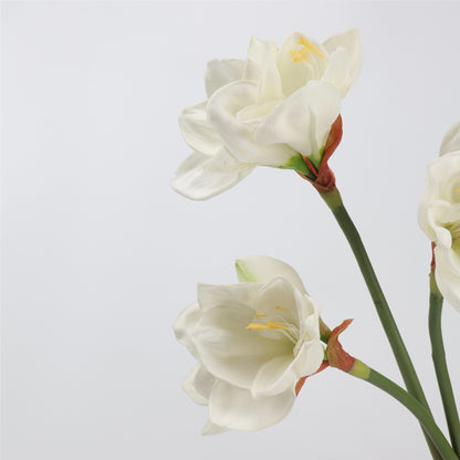 Real Touch Cream White Amaryllis Stem — 2 Blooms, 23"