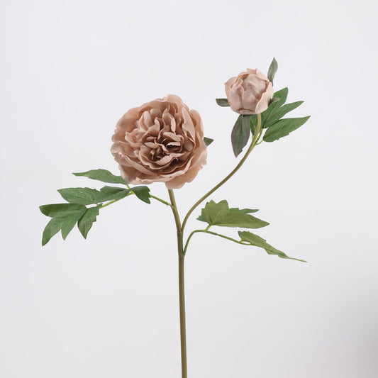 Real Touch Mocha Nude Peony Stem — 1 Blooms - 29"