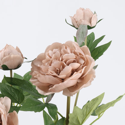Real Touch Mocha Nude Peony Stem — 1 Blooms - 29"