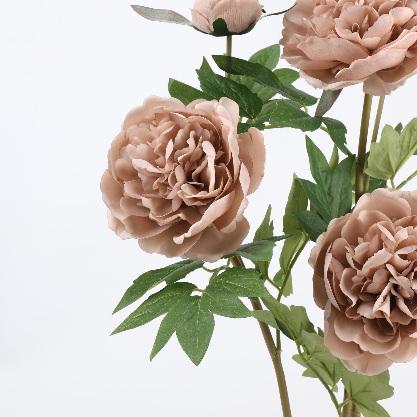 Real Touch Mocha Nude Peony Stem — 1 Blooms - 29"