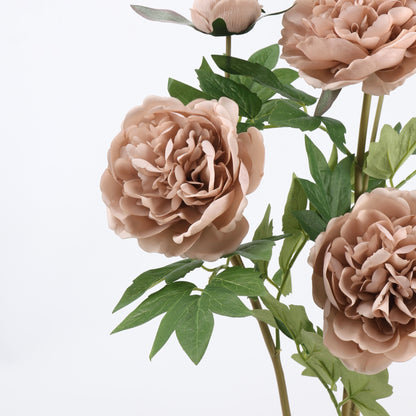 Real Touch Mocha Nude Peony Stem — 1 Blooms - 29"