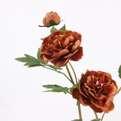 Real Touch Terracotta Peony Stem — 1 Bloom-29"
