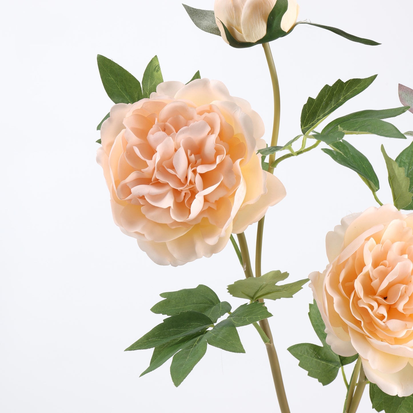 Real Touch Champagne Peony Stem — 1 Bloom, 29"