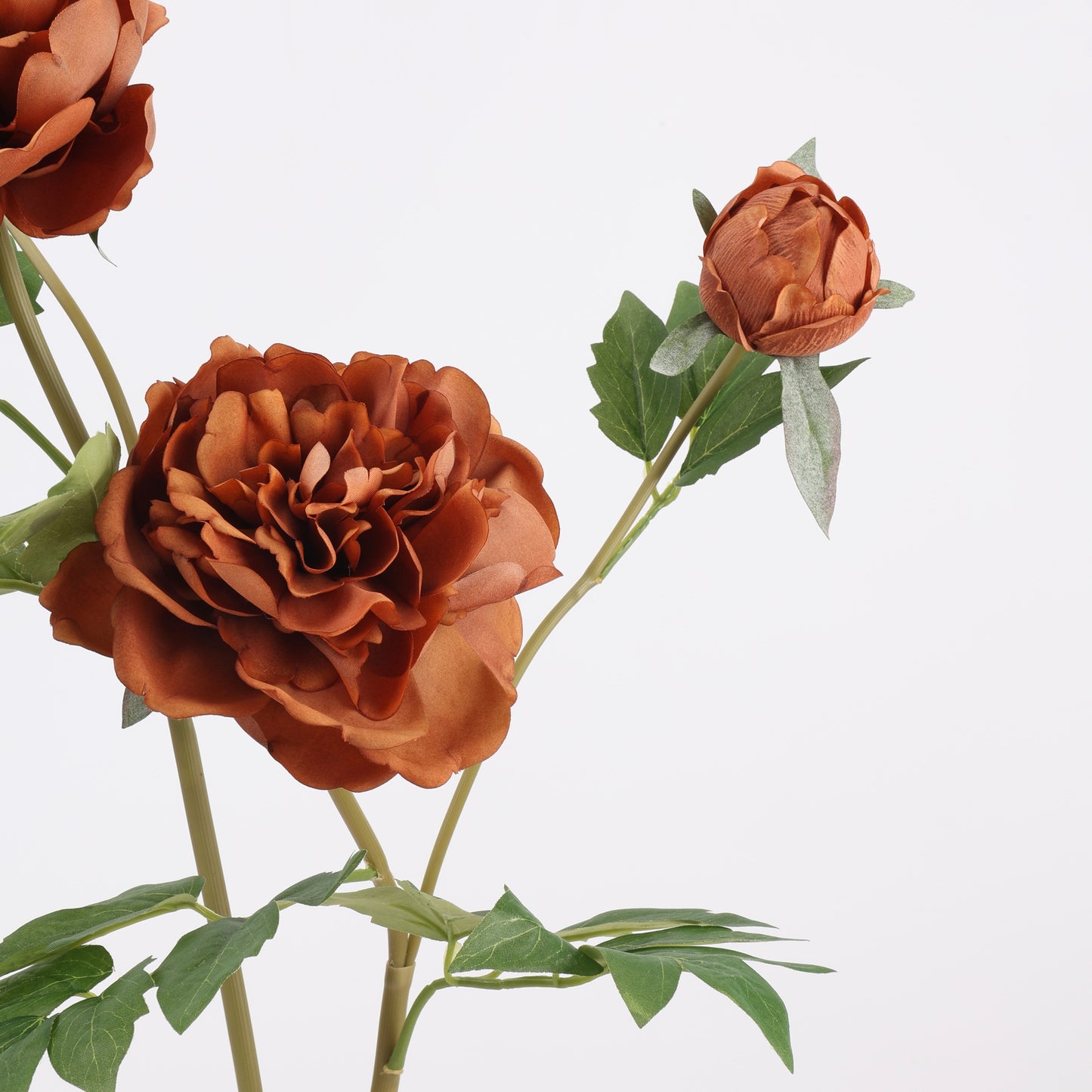 Real Touch Terracotta Peony Stem — 1 Bloom-29"