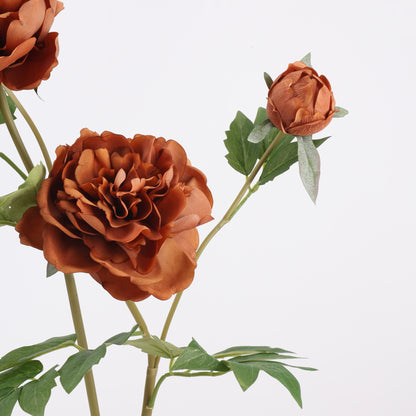 Real Touch Terracotta Peony Stem — 1 Bloom-29"