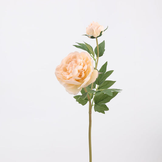 Real Touch Champagne Peony Stem — 1 Bloom, 29"